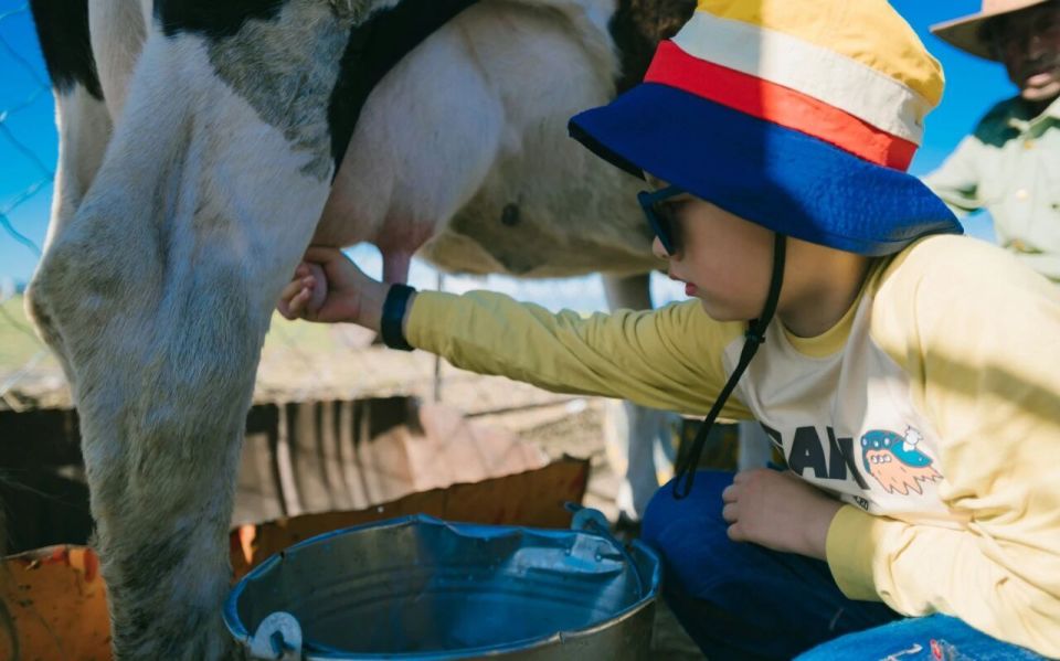 锡林郭勒赛, 打造跨境足