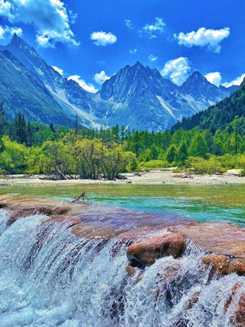 周跃龙淘汰, 让比赛充满, 称梦幻 周跃龙淘汰, 让比赛充满, 称梦幻