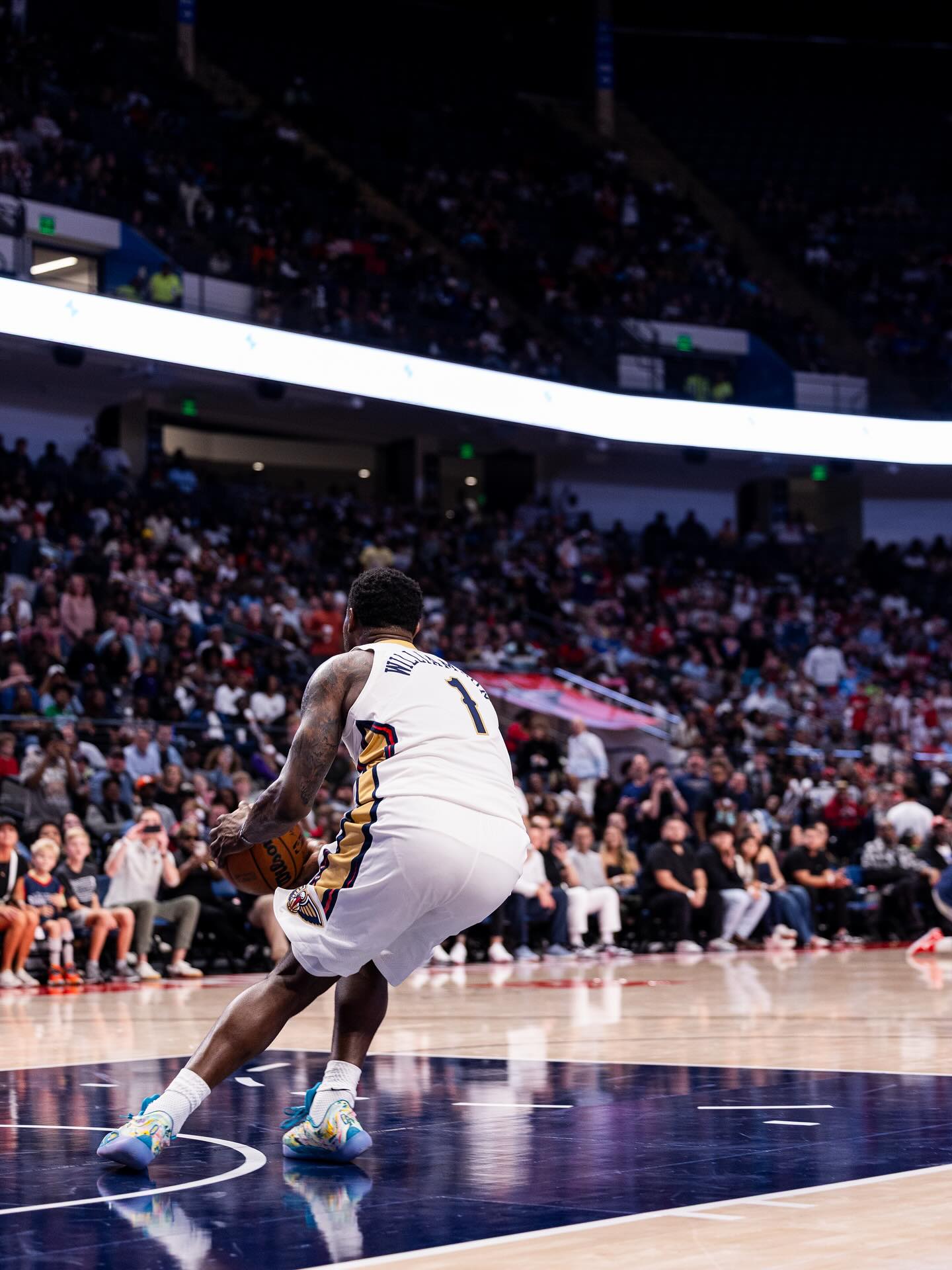 鹈鹕官方分 鹈鹕官方分